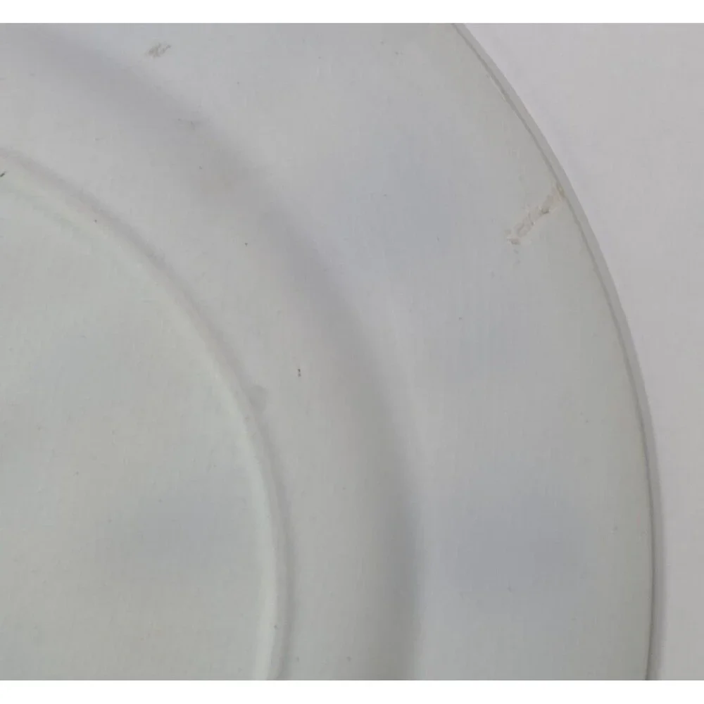 Antique Wedgwood Indian Plate Orange Hand Painted 10.5